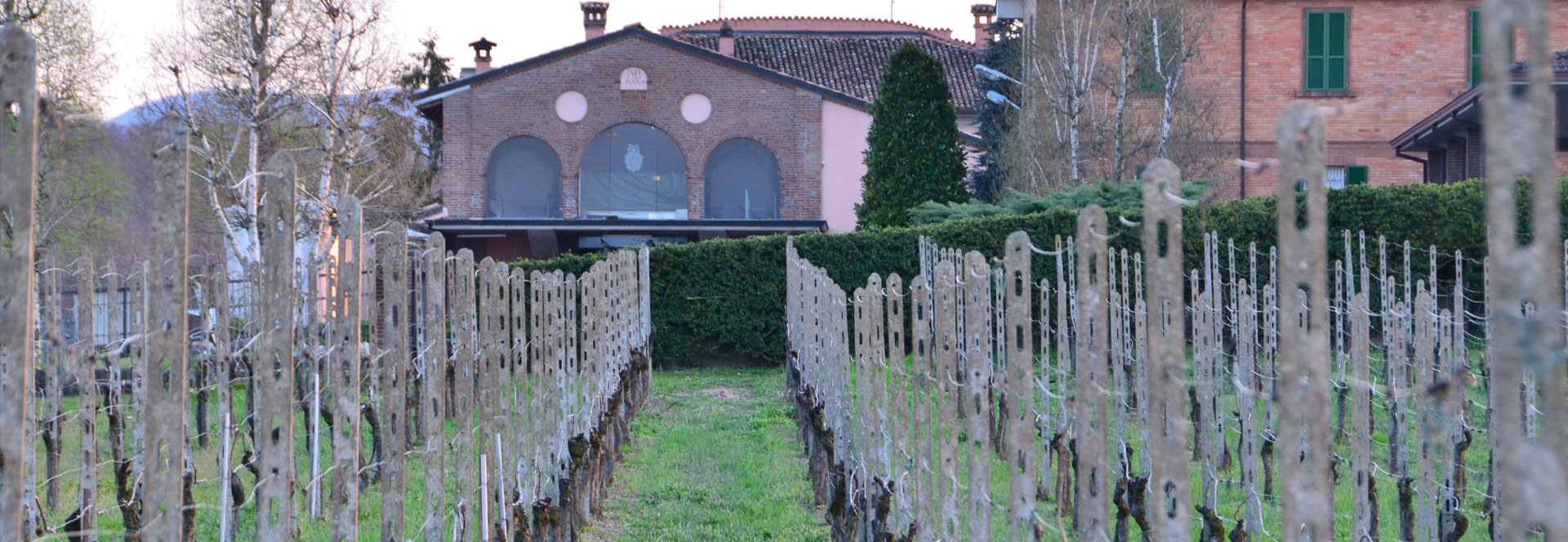 Vigna Azienda Montesissa